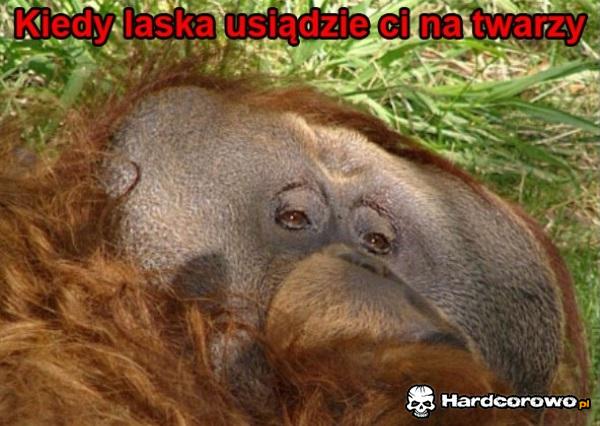 Tak wyglądasz - 1