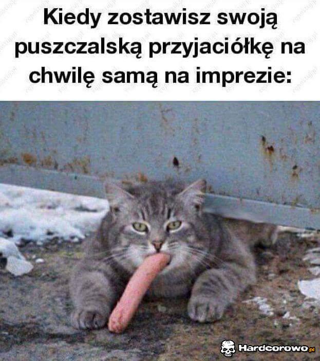 Puszczalska przyjaciółka - 1