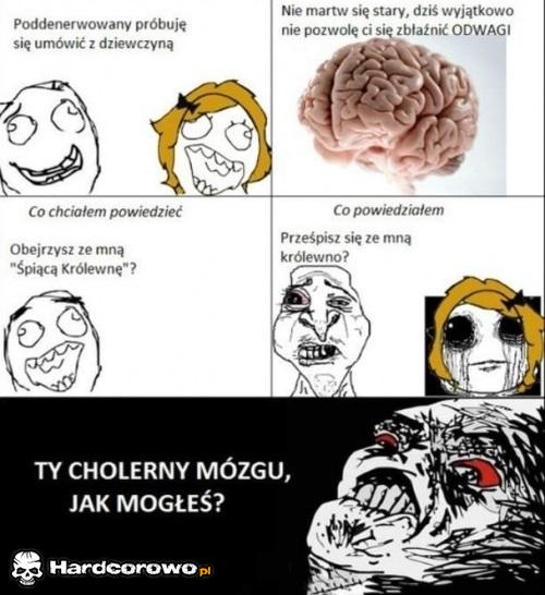 Cholerny mózg  - 1
