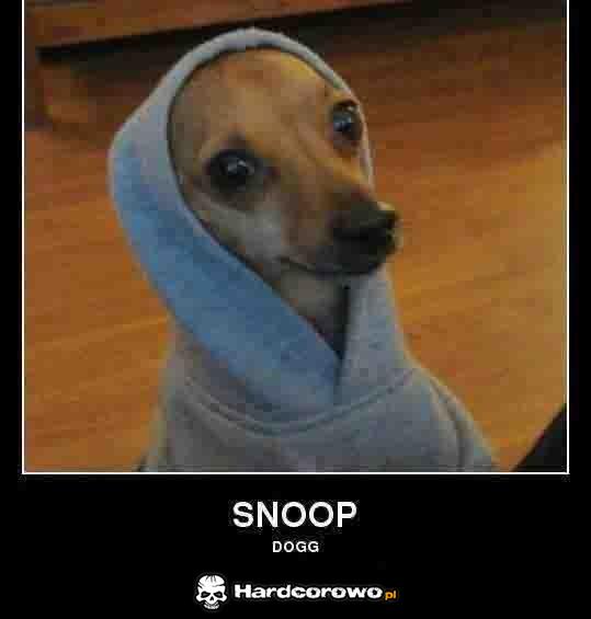 Snoop dogg - 1