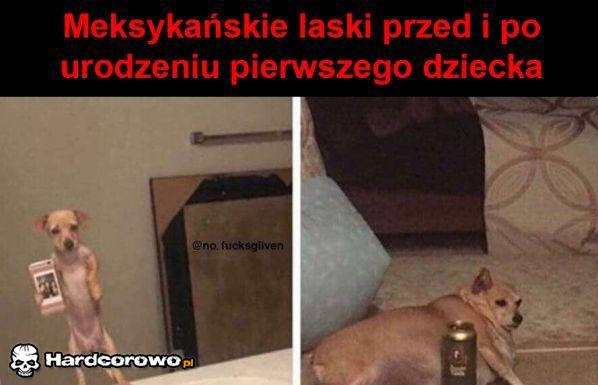 Meksykańskie laski - 1