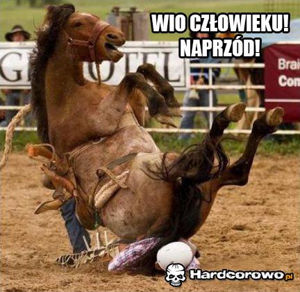Koń ujeżdża człowieka  - 1