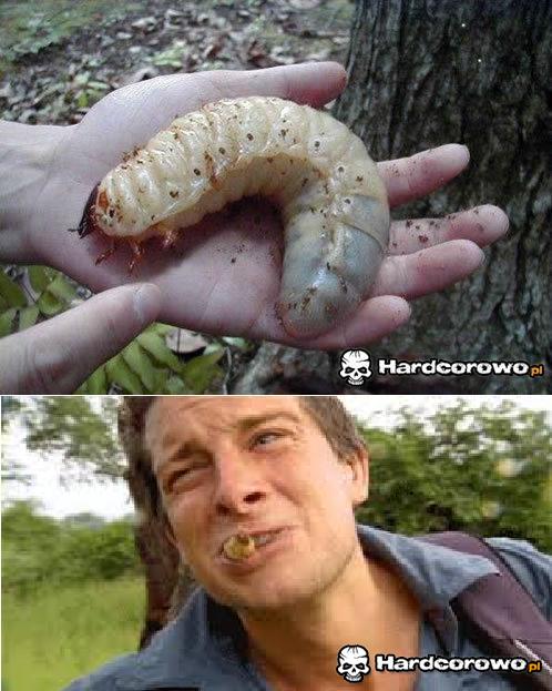 Bear Grylls - 1