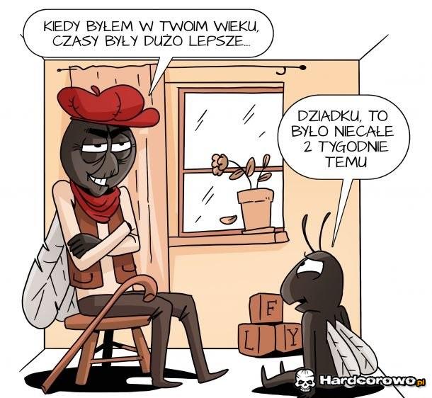 Krótki żywot muszki owocówki - 1