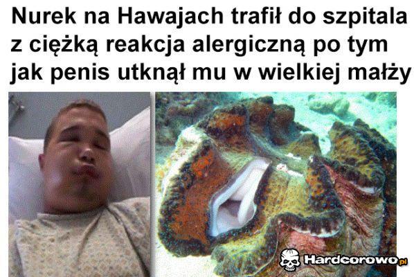 Nurek na Hawajach - 1