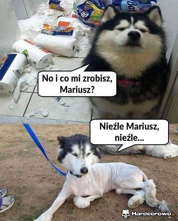 No i co mi zrobisz - 1