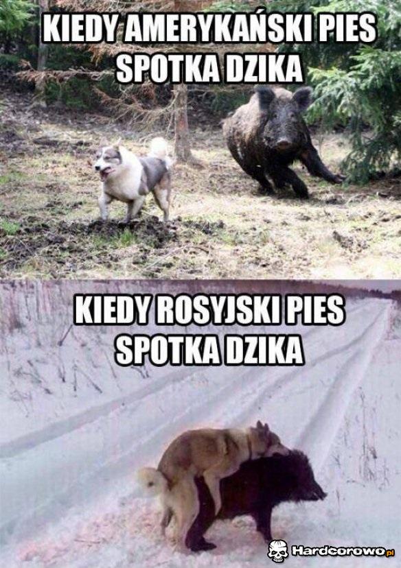 Różnica - 1