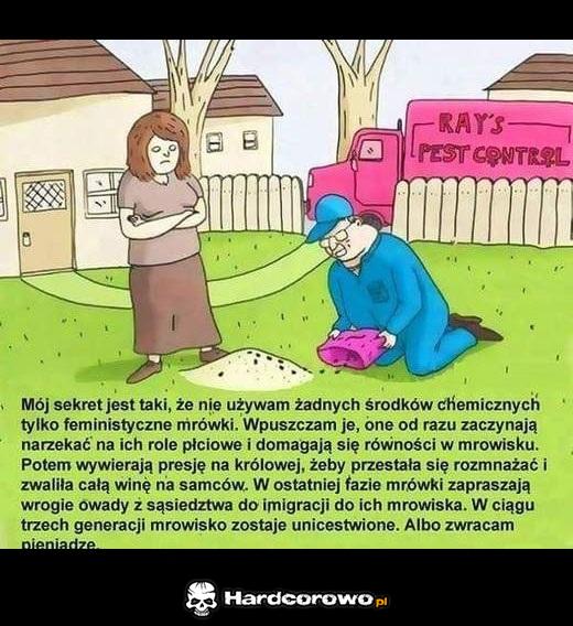 Sekret - 1