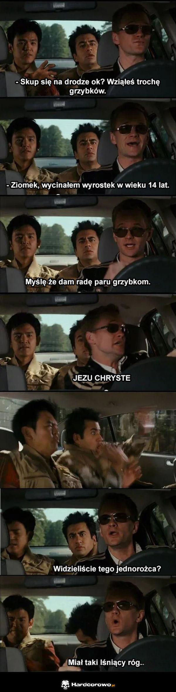 Grzybki - 1