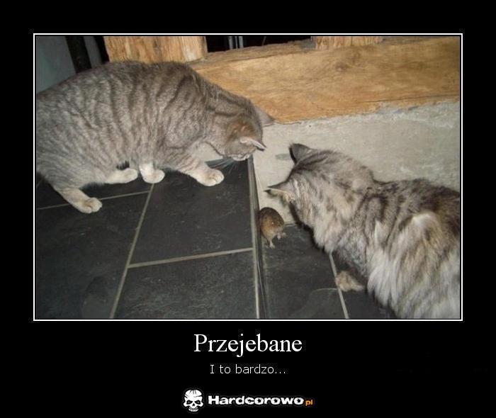 Przejebane - 1