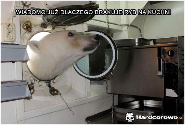 Gość na sępa  - 1