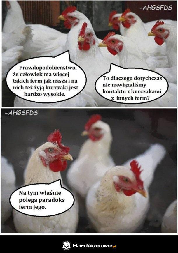 Kury to rozkminiły - 1