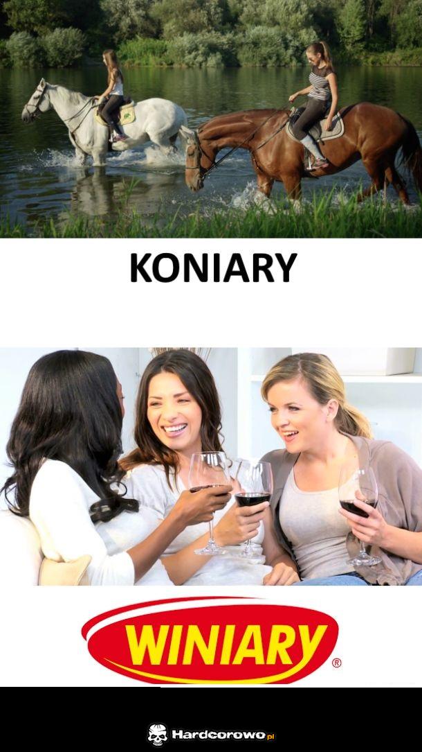 Winiary - 1