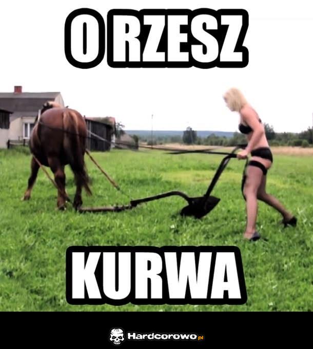 O Rzesz! - 1