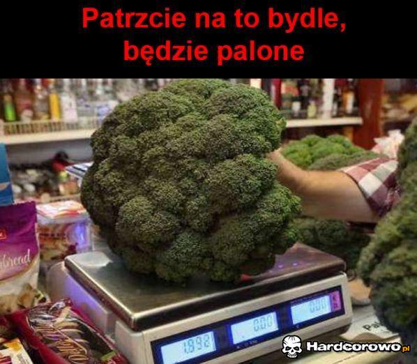Bydle - 1