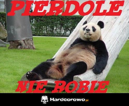 Leniwa panda - 1