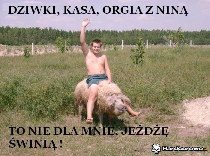 Świnia - 1