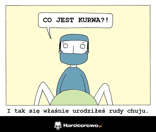 Rudy  - 1