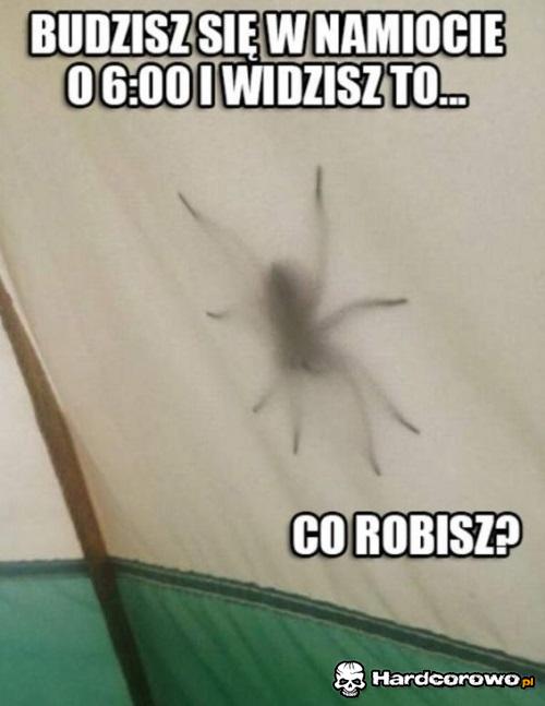 Co robisz?? - 1