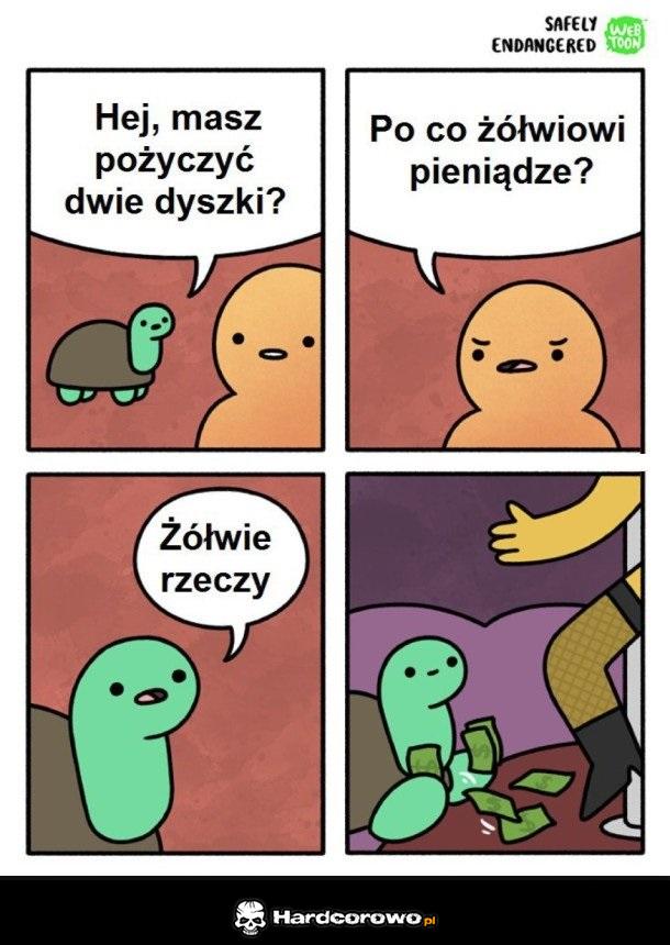 Po co żółwiowi pieniądze? - 1
