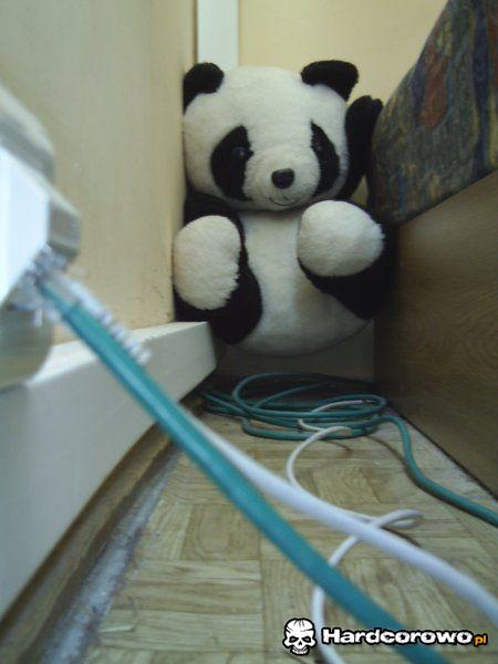 Panda się chowa  - 1