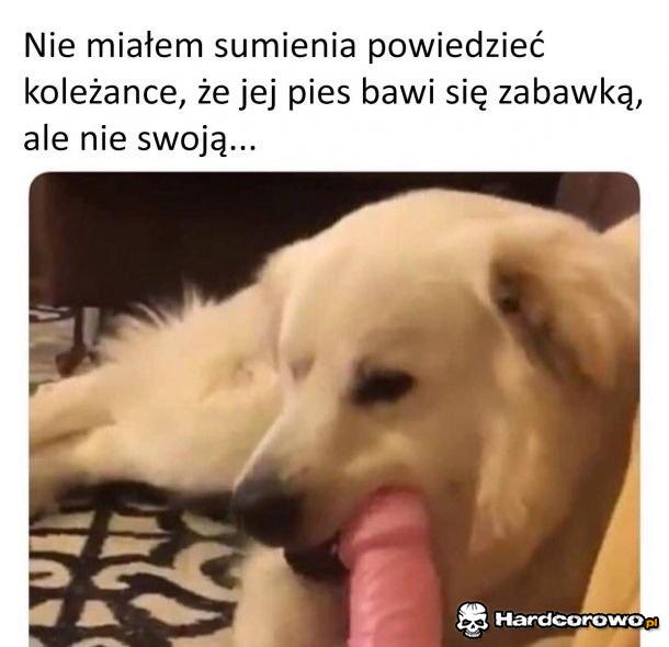 To chyba nie jest gryzak - 1