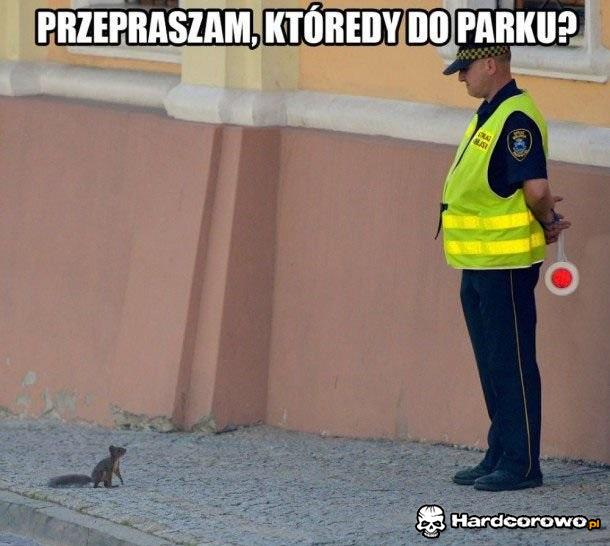 Ktoś zna drogę? - 1