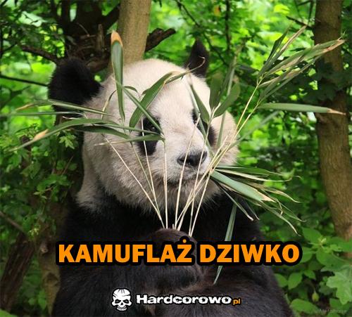 Kamuflaż - 1