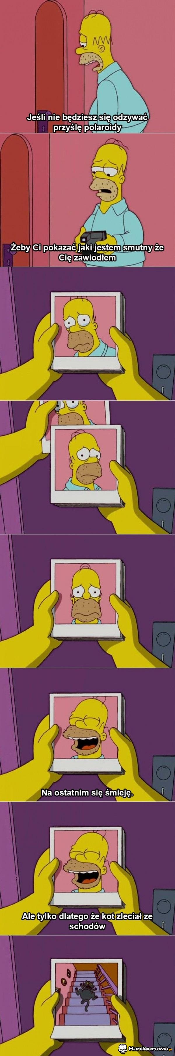 Homer - 1
