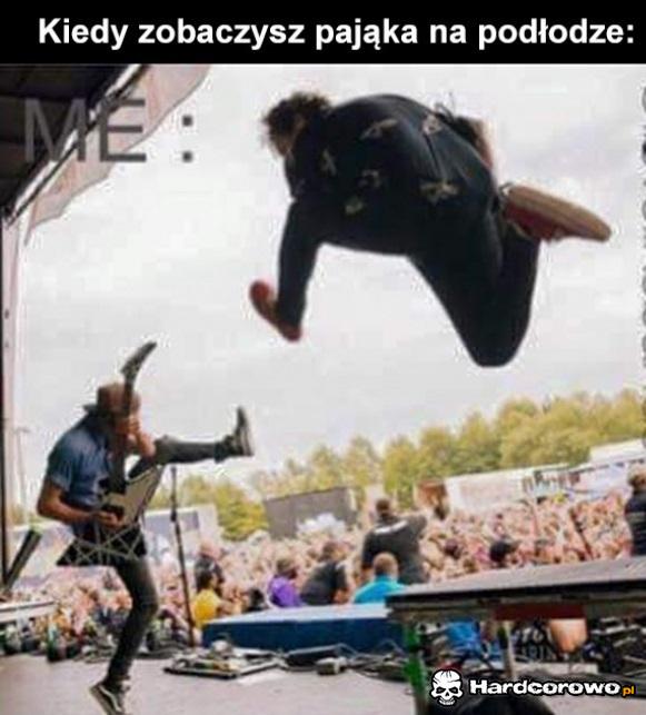 Kiedy zobaczysz pająka - 1