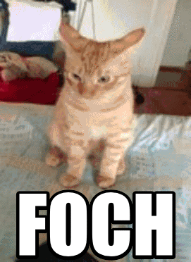 Foch - 1