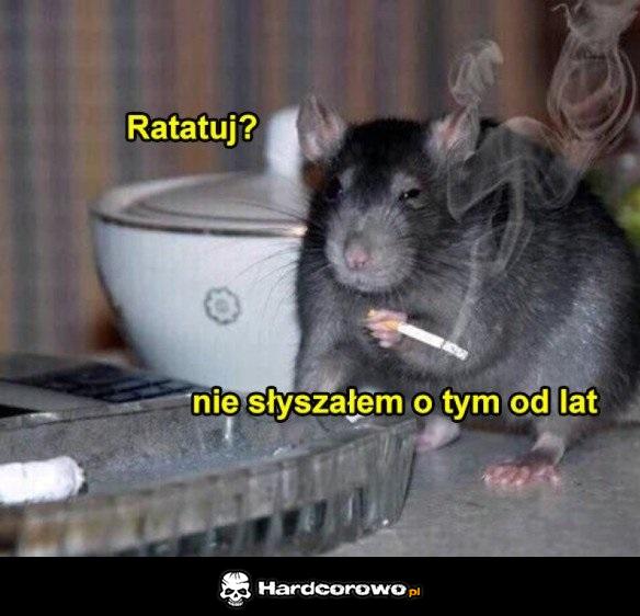 Ratatuj - 1