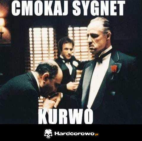 Cmokaj sygnet - 1