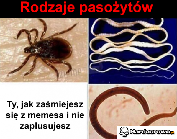 Rodzaje pasożytów - 1