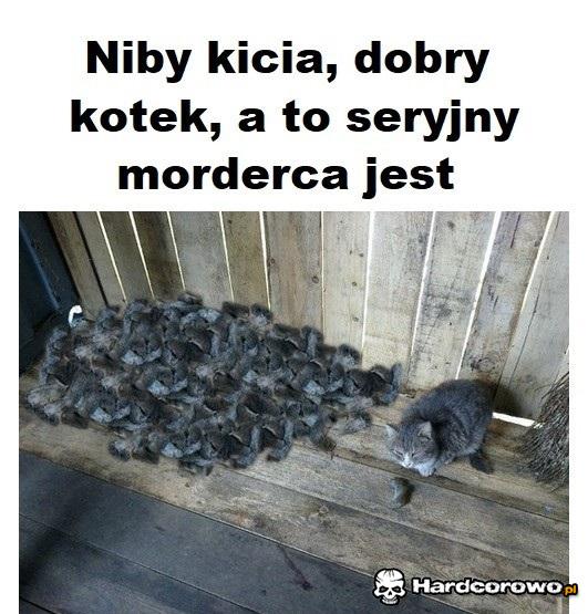 Niby kicia - 1