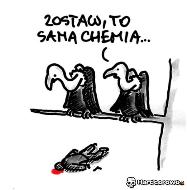 Sępy  - 1