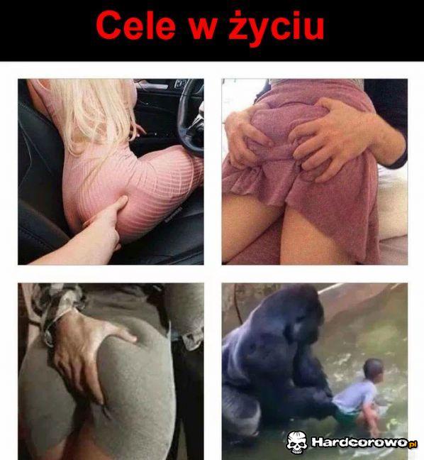 Cele w życiu - 1