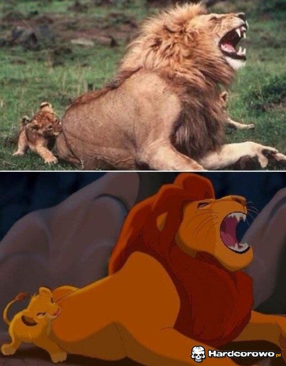 Król lew w prawdziwym życiu - 1