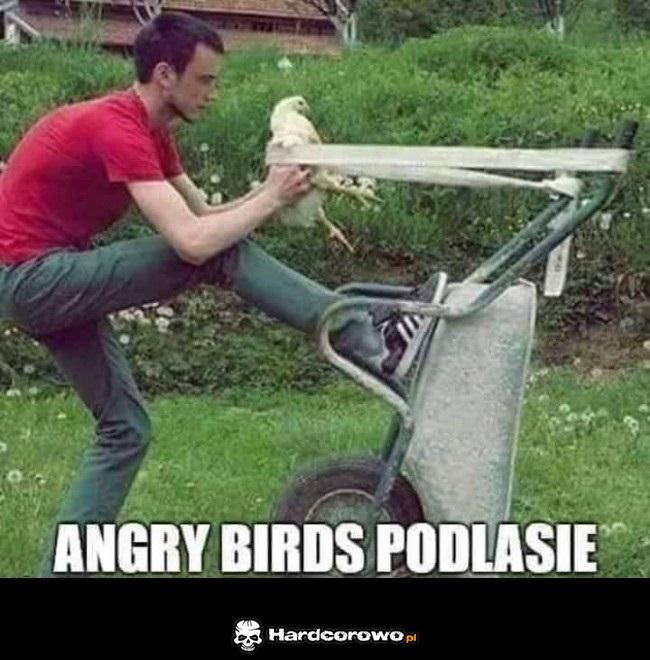 Podlasie to stan umyslu - 1