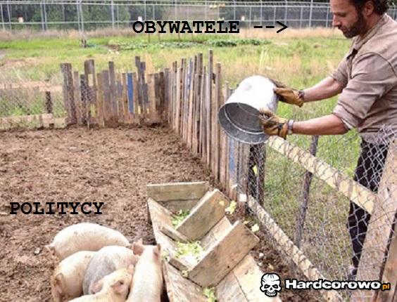Tak to wygląda  - 1