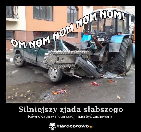 Silniejszy zjada słabszego - 1