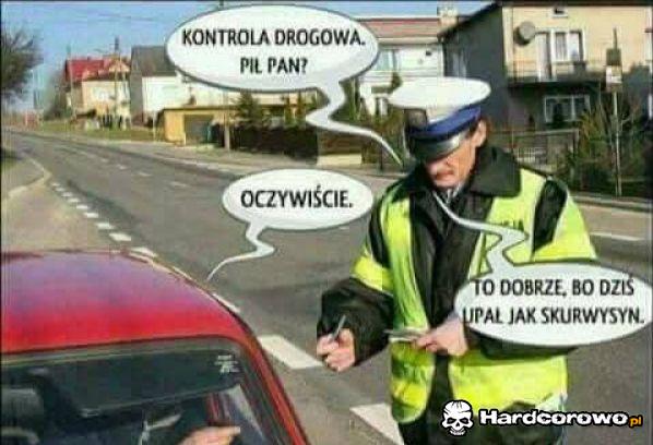 Kontrola drogowa - 1