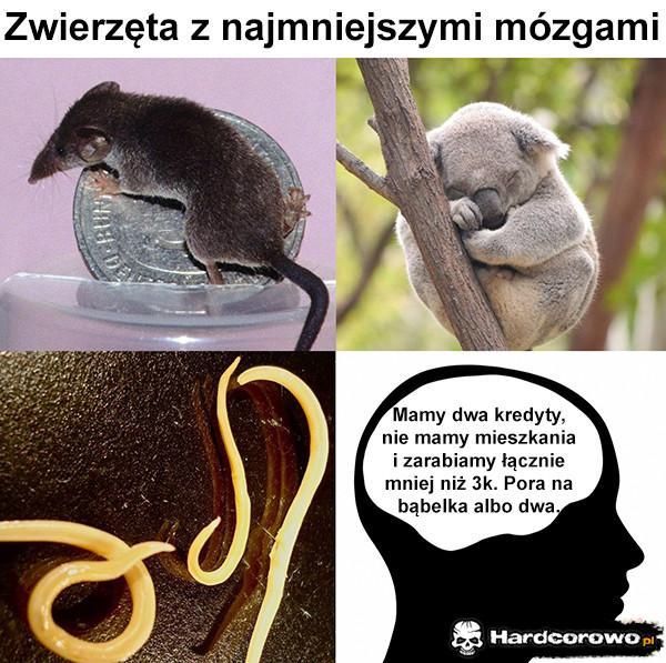  - 1