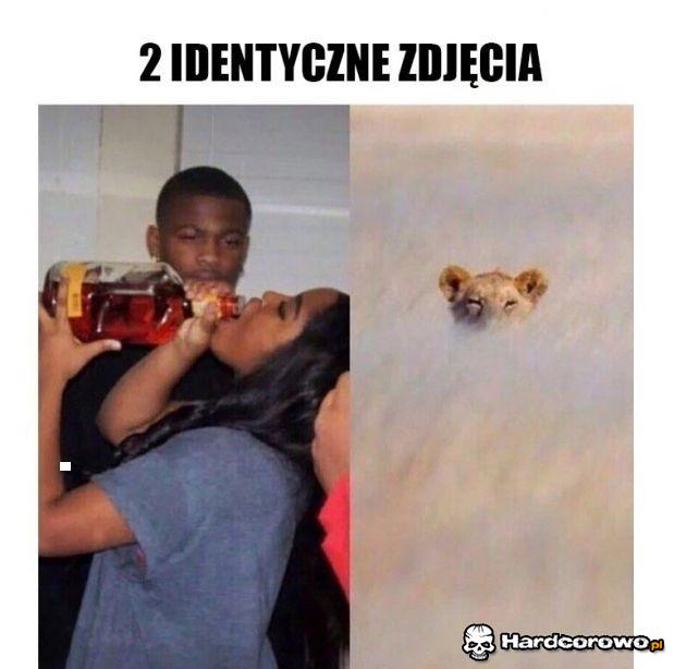 Takie same zdjęcia - 1