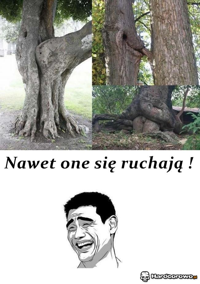 Naturalny seks  - 1