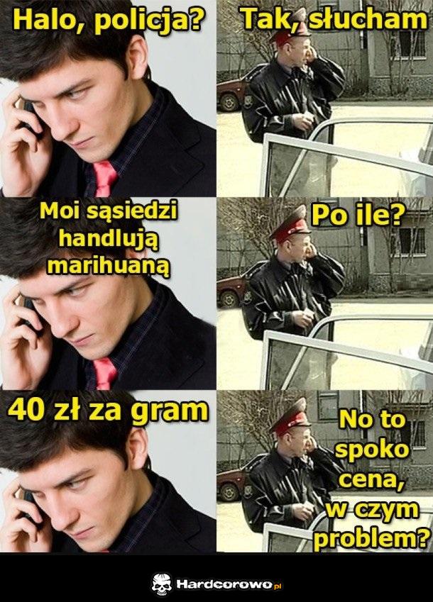 Halo Policja - 1