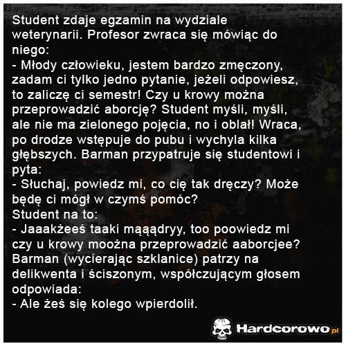 Student zdaje egzamin - 1