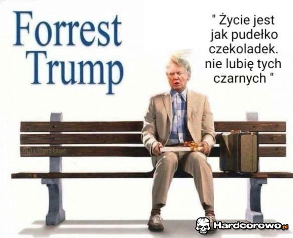 Trumpiarz - 1