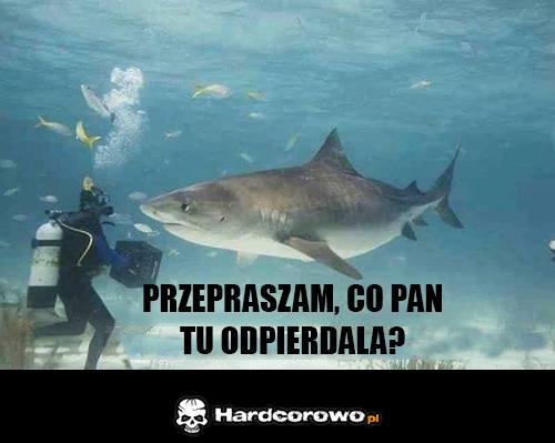 Na dnie oceanu  - 1