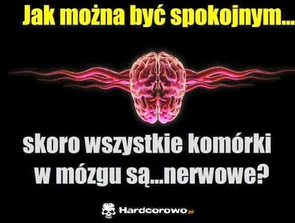No jak? - 1